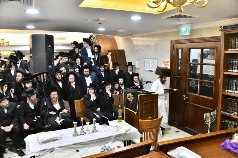 שוקי לרר