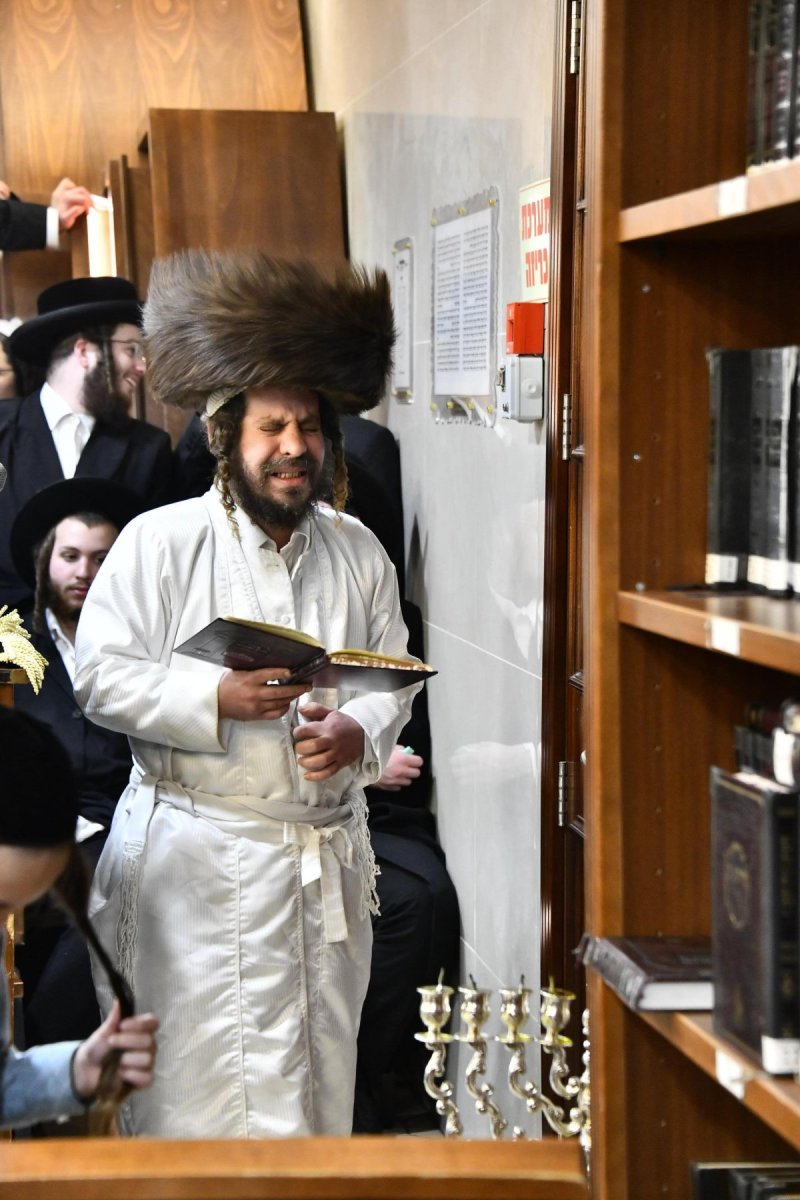 שוקי לרר