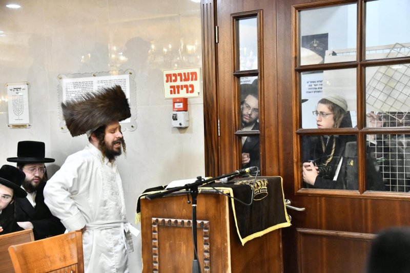 שוקי לרר