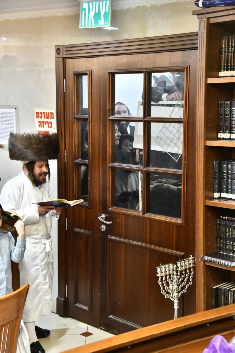 שוקי לרר