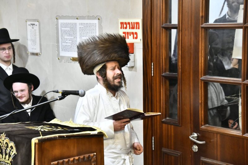 שוקי לרר