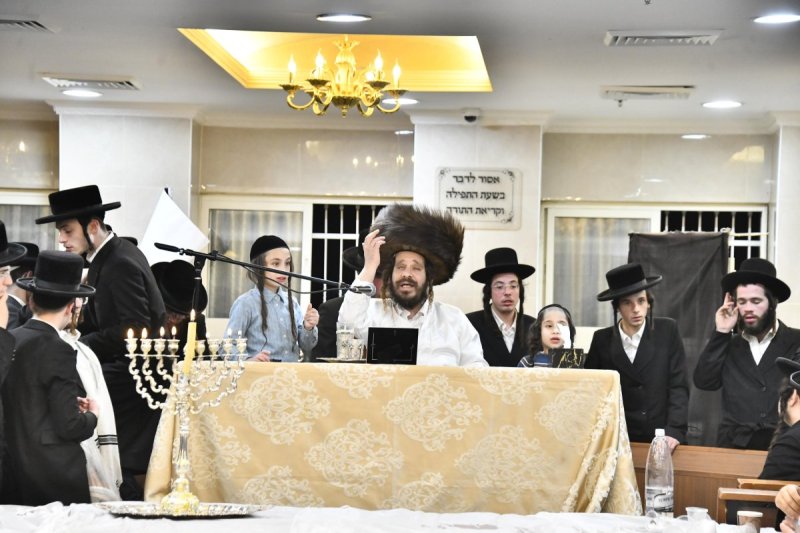 שוקי לרר