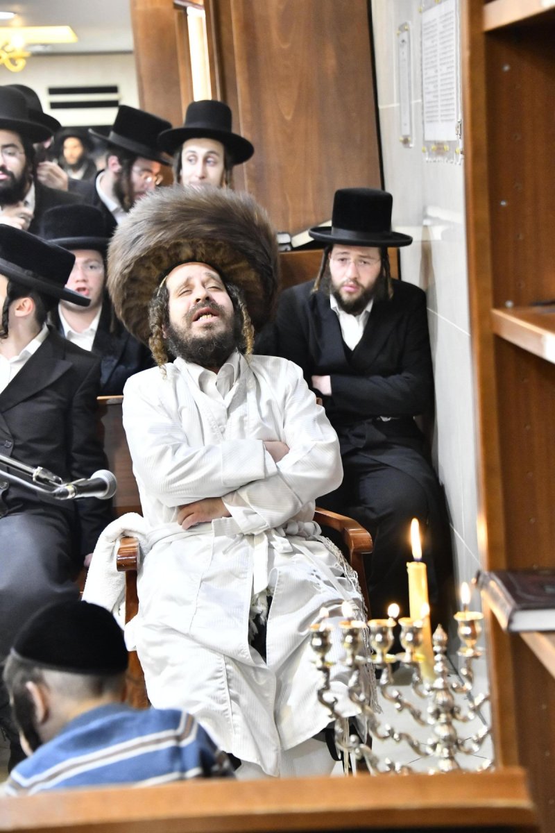 שוקי לרר