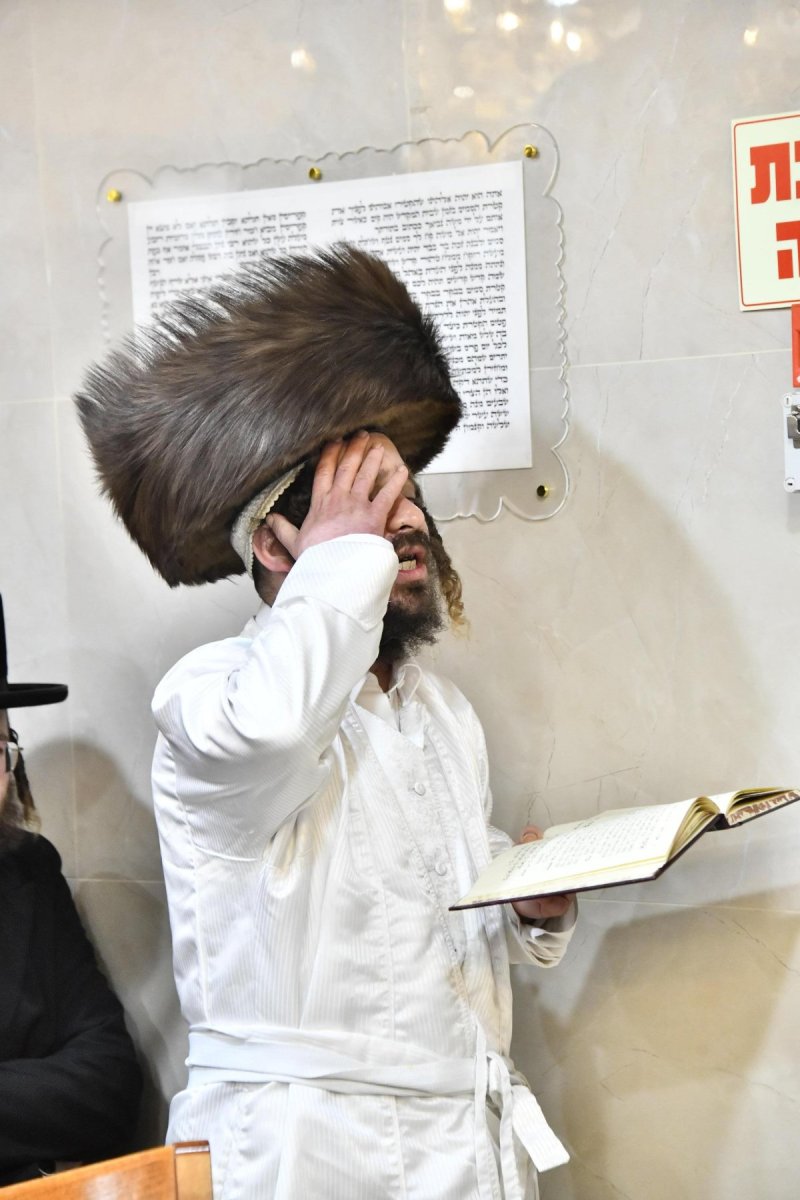 שוקי לרר