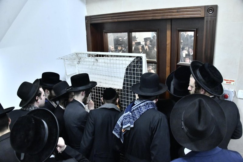 שוקי לרר