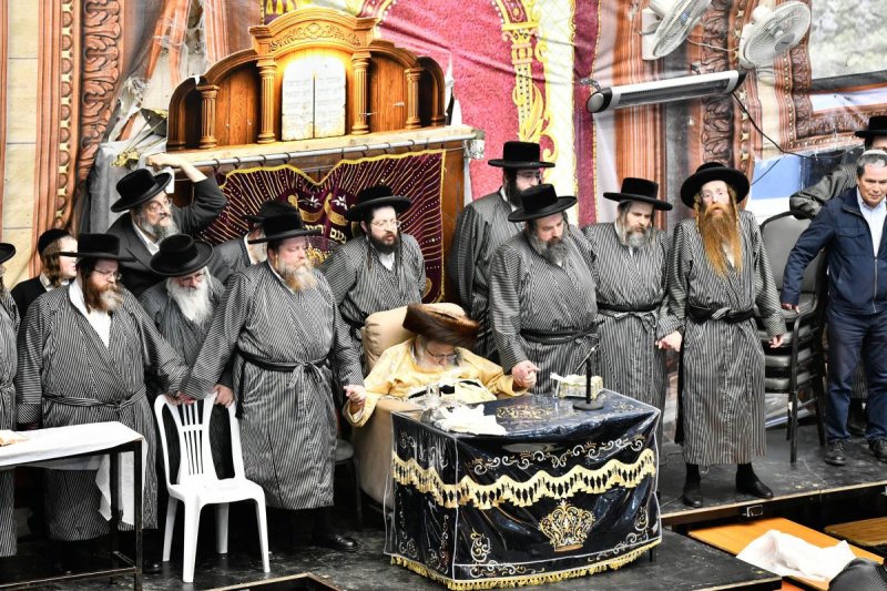 שוקי לרר