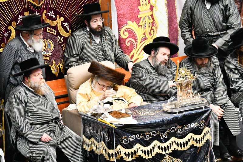 שוקי לרר