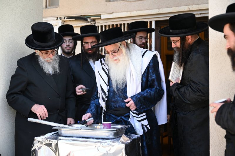 משה גולדשטיין
