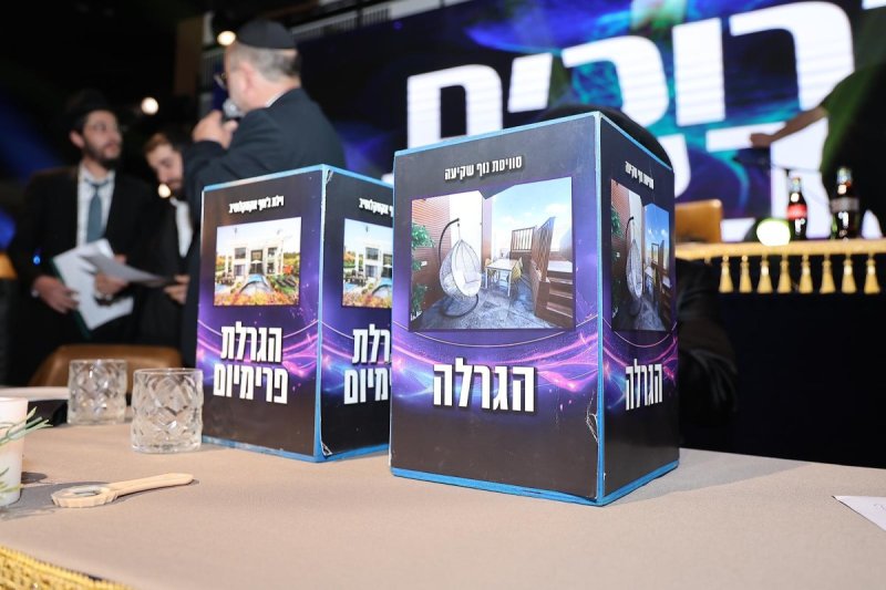 נועם אליהו