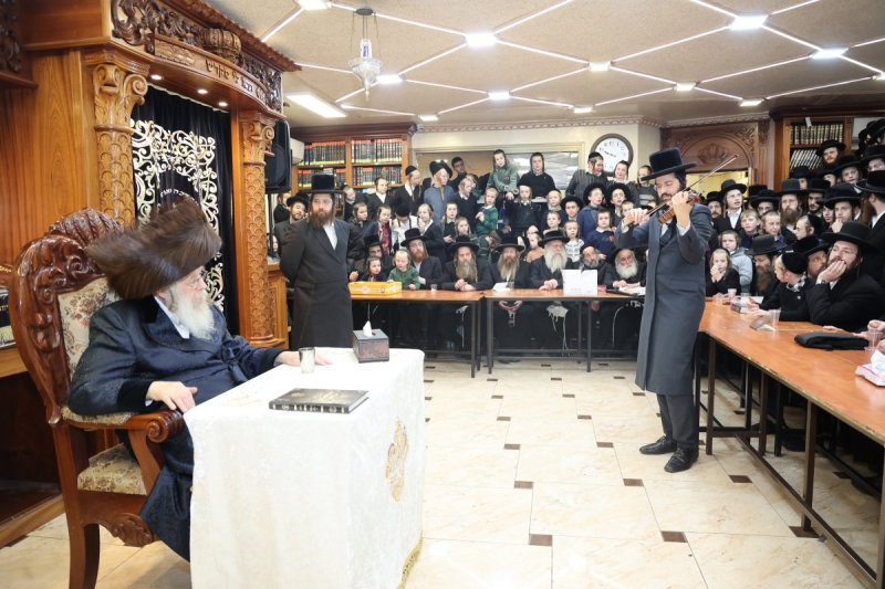 שלומי טריכטר