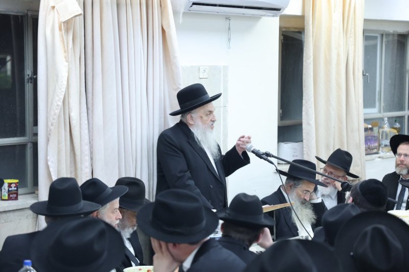שלומי טריכטר