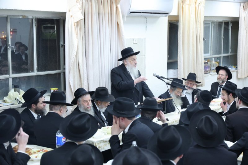 שלומי טריכטר