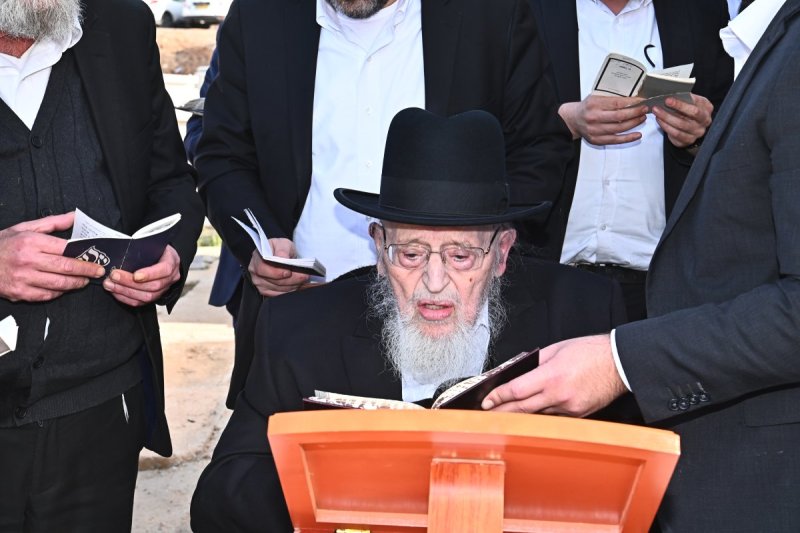 שוקי לרר
