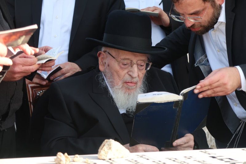 שוקי לרר