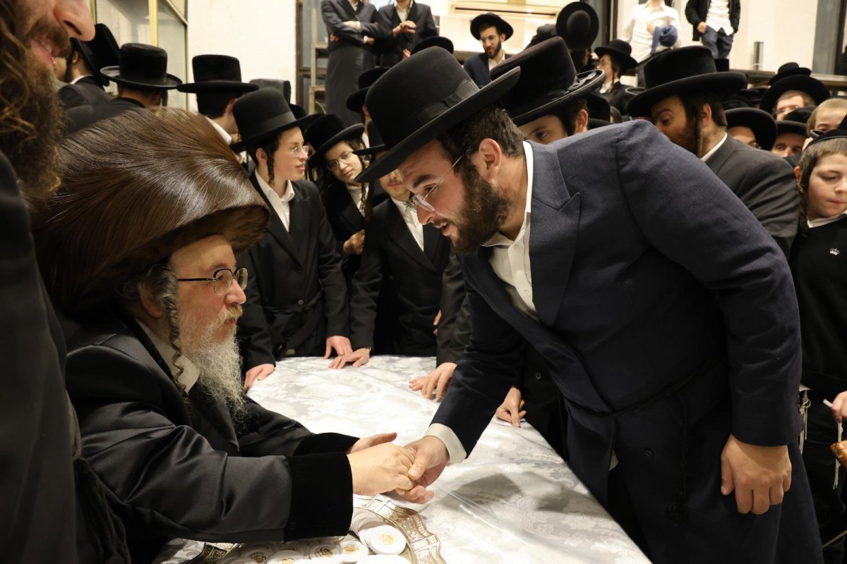 נתי אמרגי