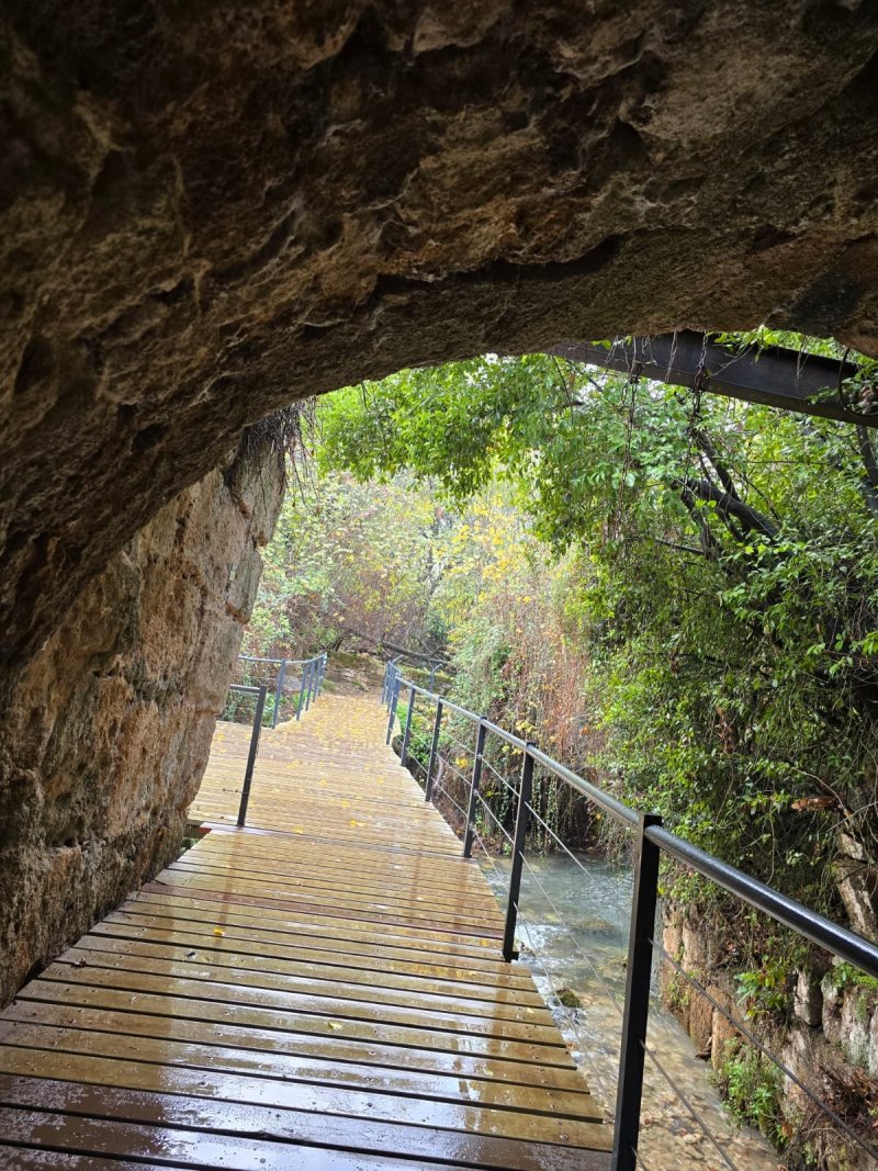 מוחי עיד, רט"ג