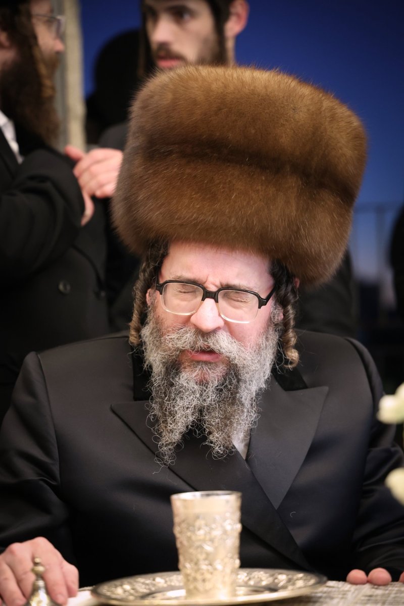 דוד ארזני