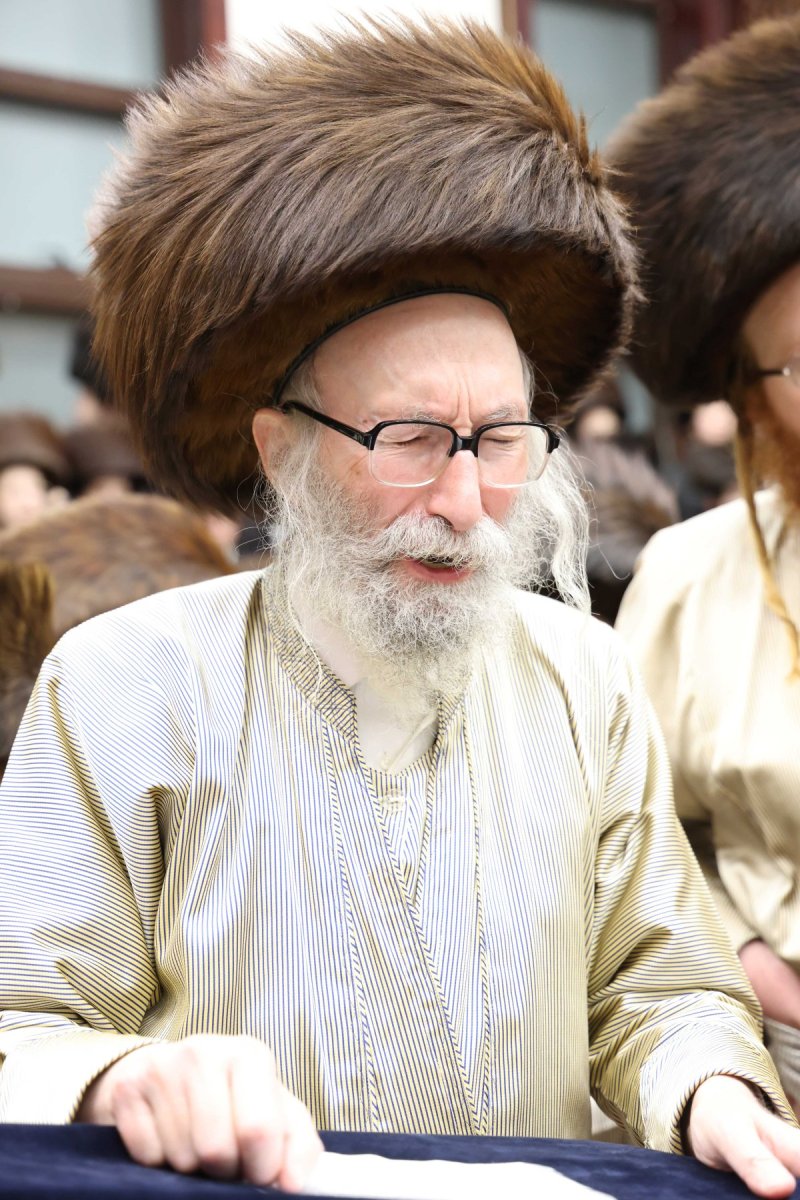 שמואל דריי