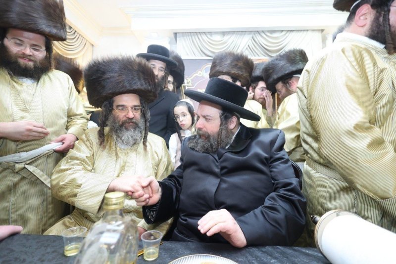 שלומי טריכטר