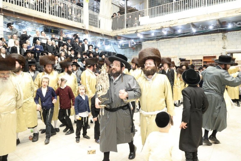 שלומי טריכטר