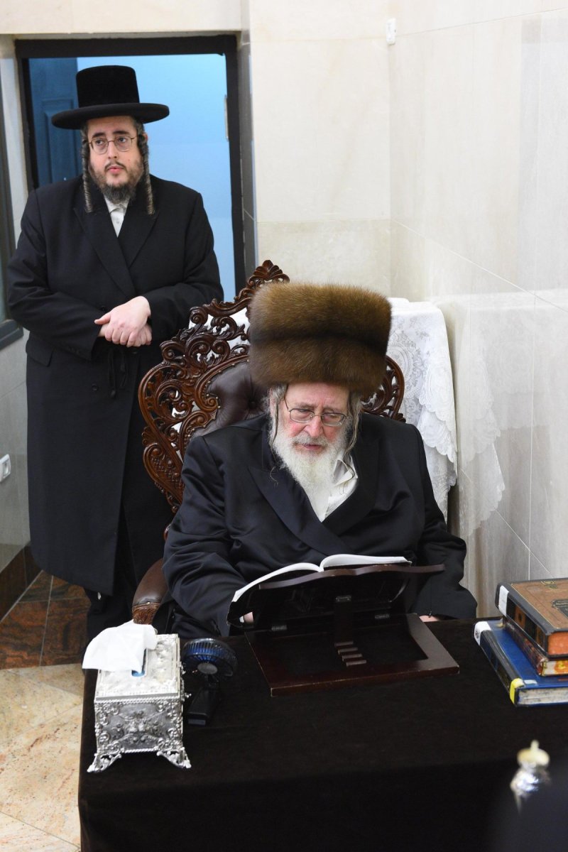 שוקי לרר