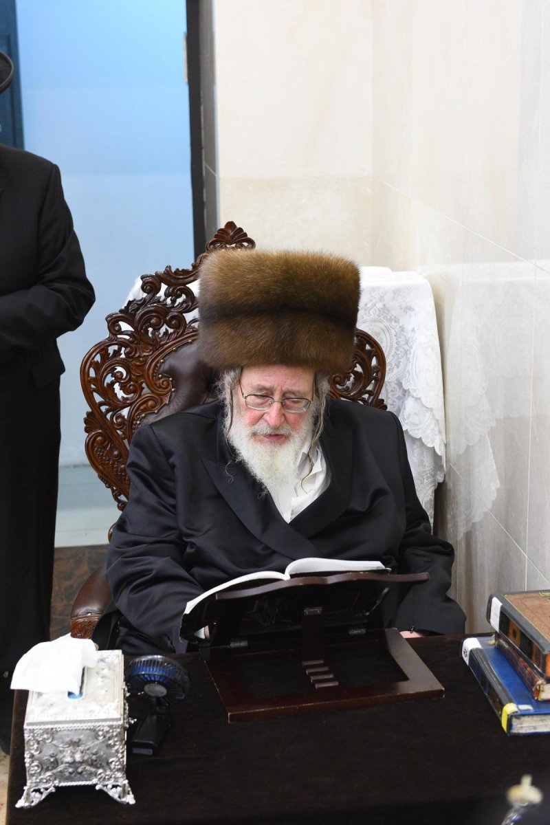 שוקי לרר