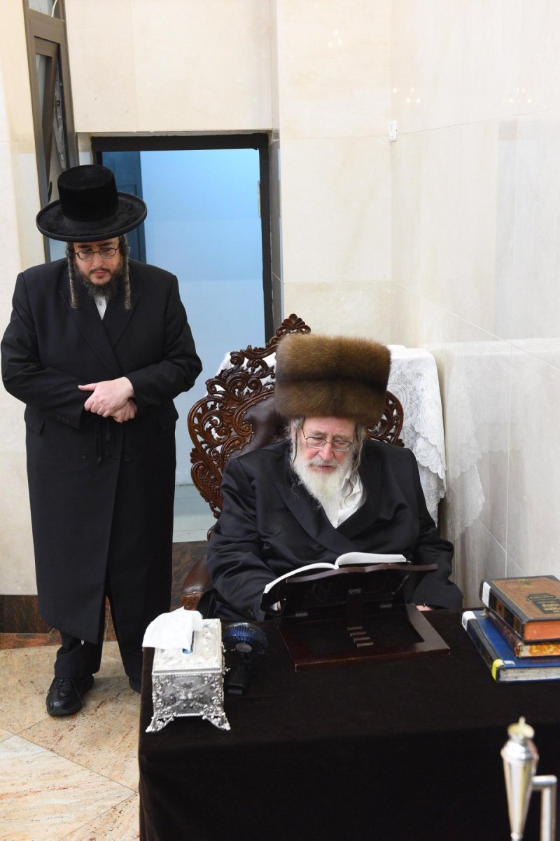 שוקי לרר