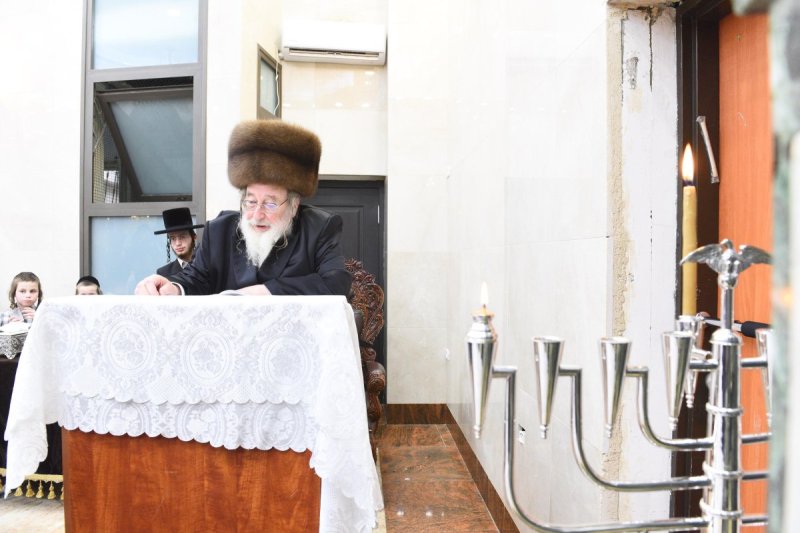שוקי לרר