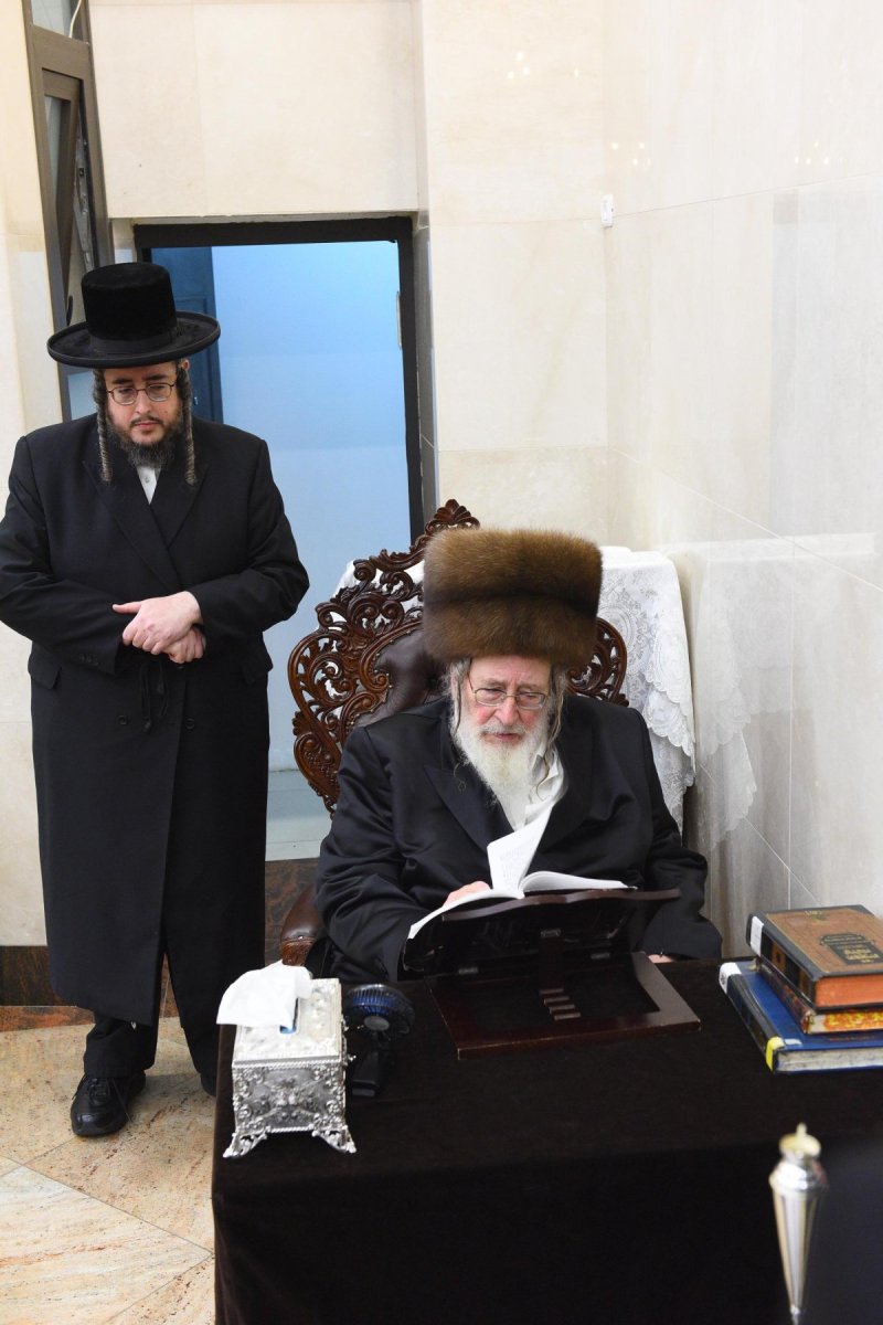 שוקי לרר
