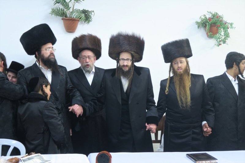 מ. אדלר