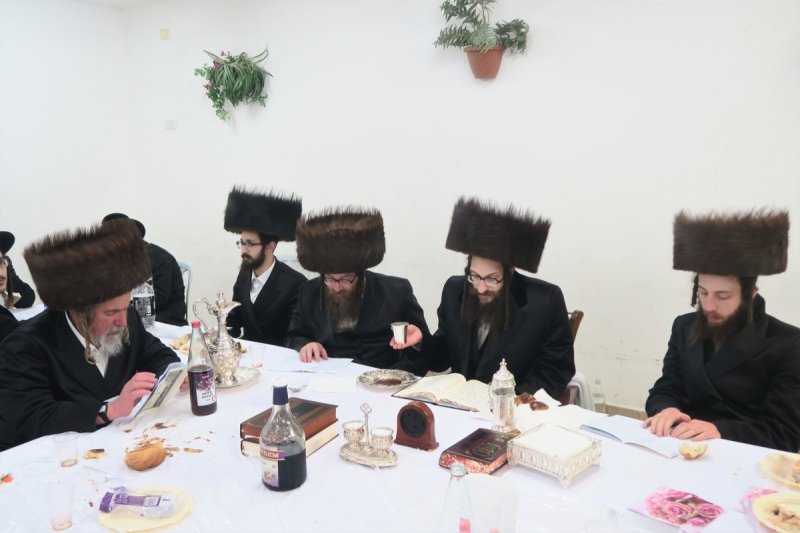 מ. אדלר
