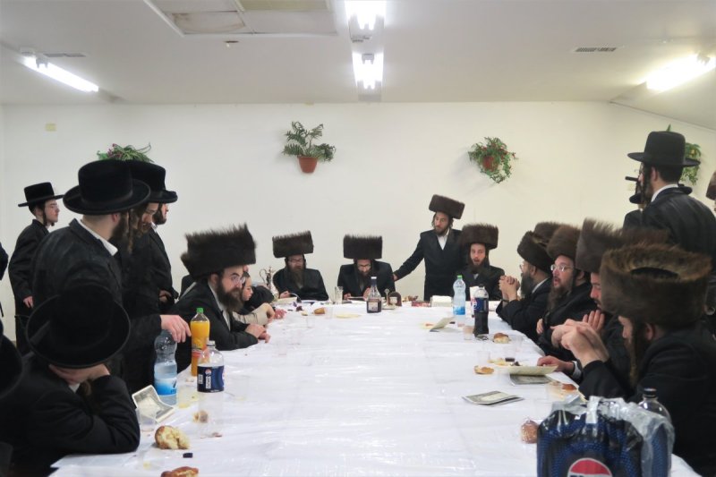מ. אדלר