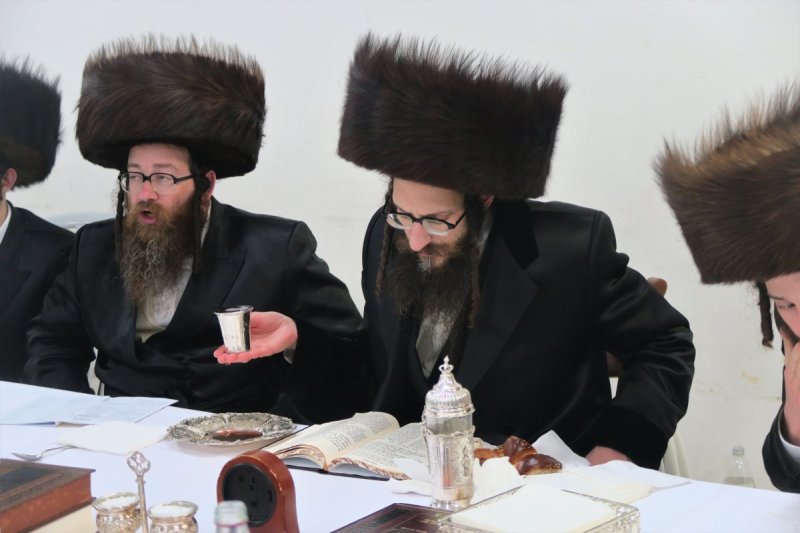 מ. אדלר