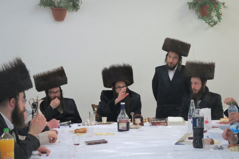מ. אדלר