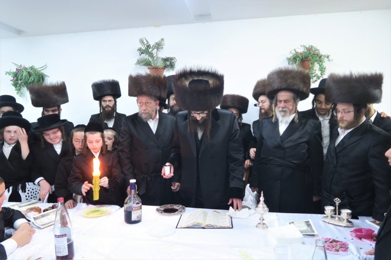 מ. אדלר