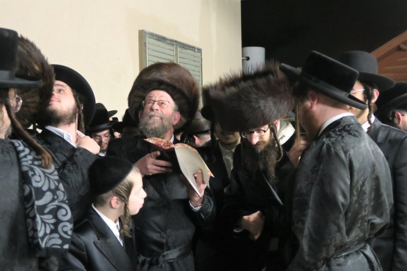מ. אדלר