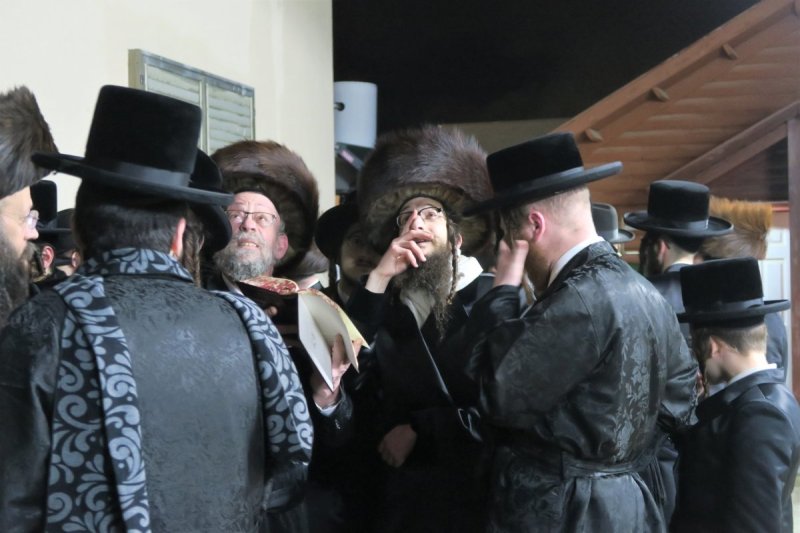 מ. אדלר