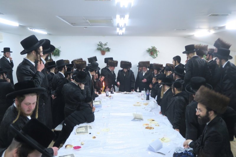 מ. אדלר