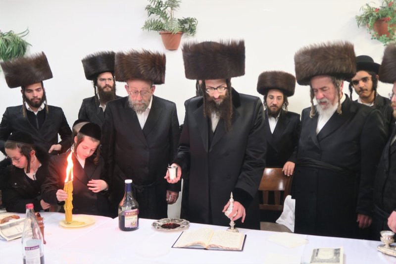 מ. אדלר