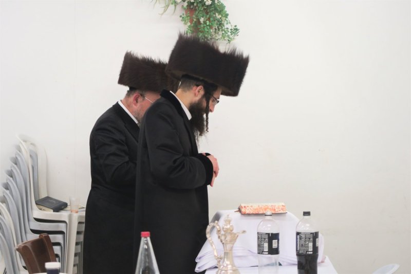 מ. אדלר