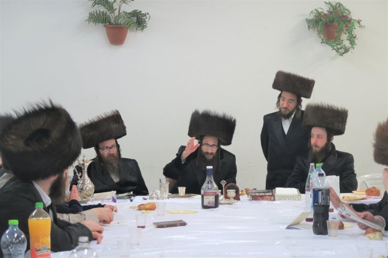 מ. אדלר