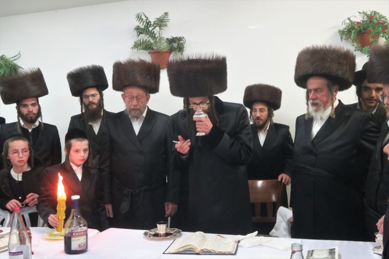 מ. אדלר
