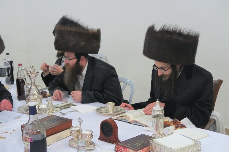 מ. אדלר