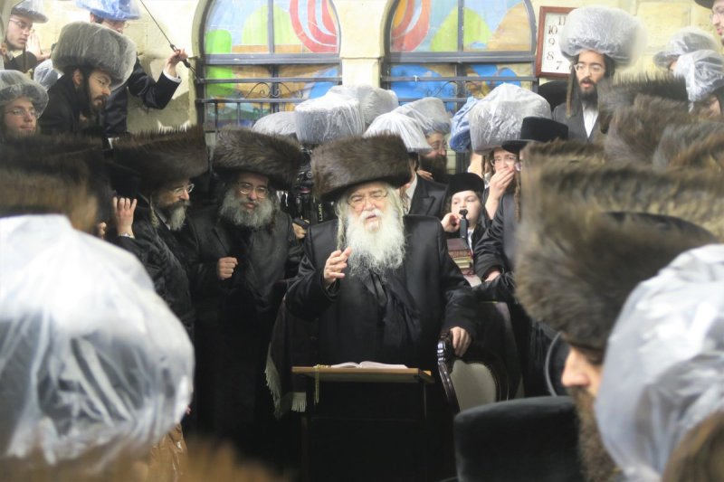 מ. אדלר