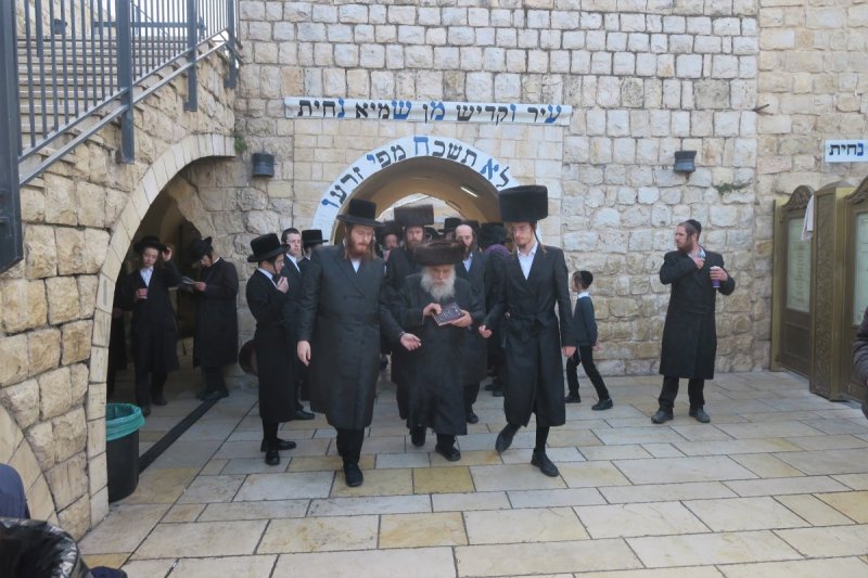 מ. אדלר