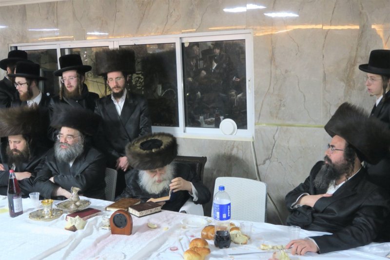 מ. אדלר