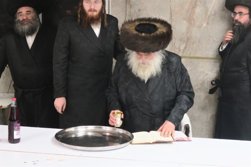 מ. אדלר