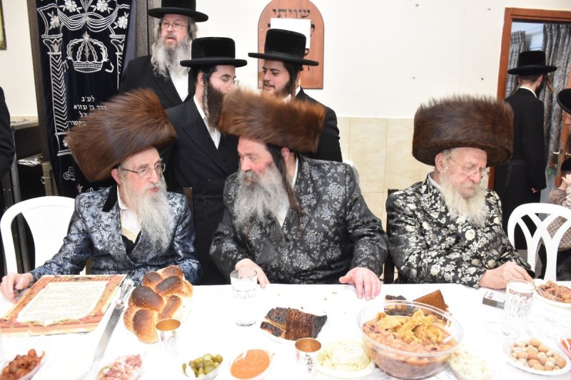 יהודה פרקוביץ