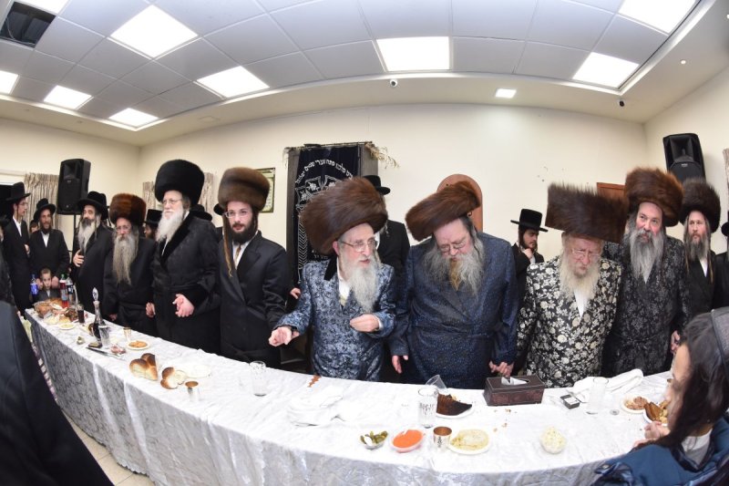 יהודה פרקוביץ