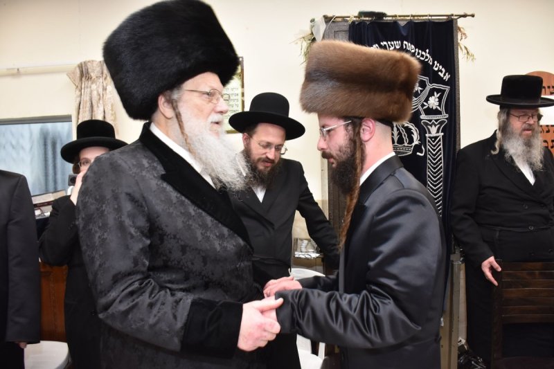 יהודה פרקוביץ